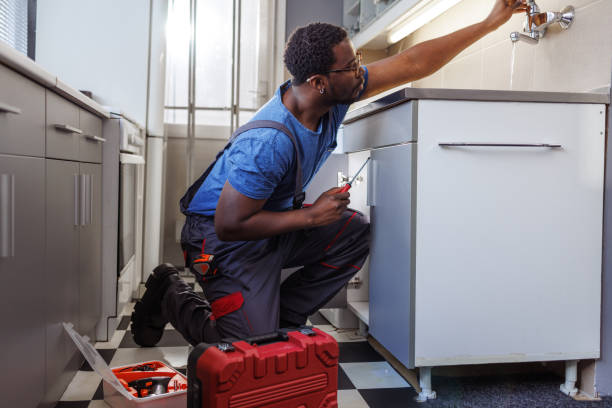 Best Water Softener Installation  in Lake Dunlap, TX